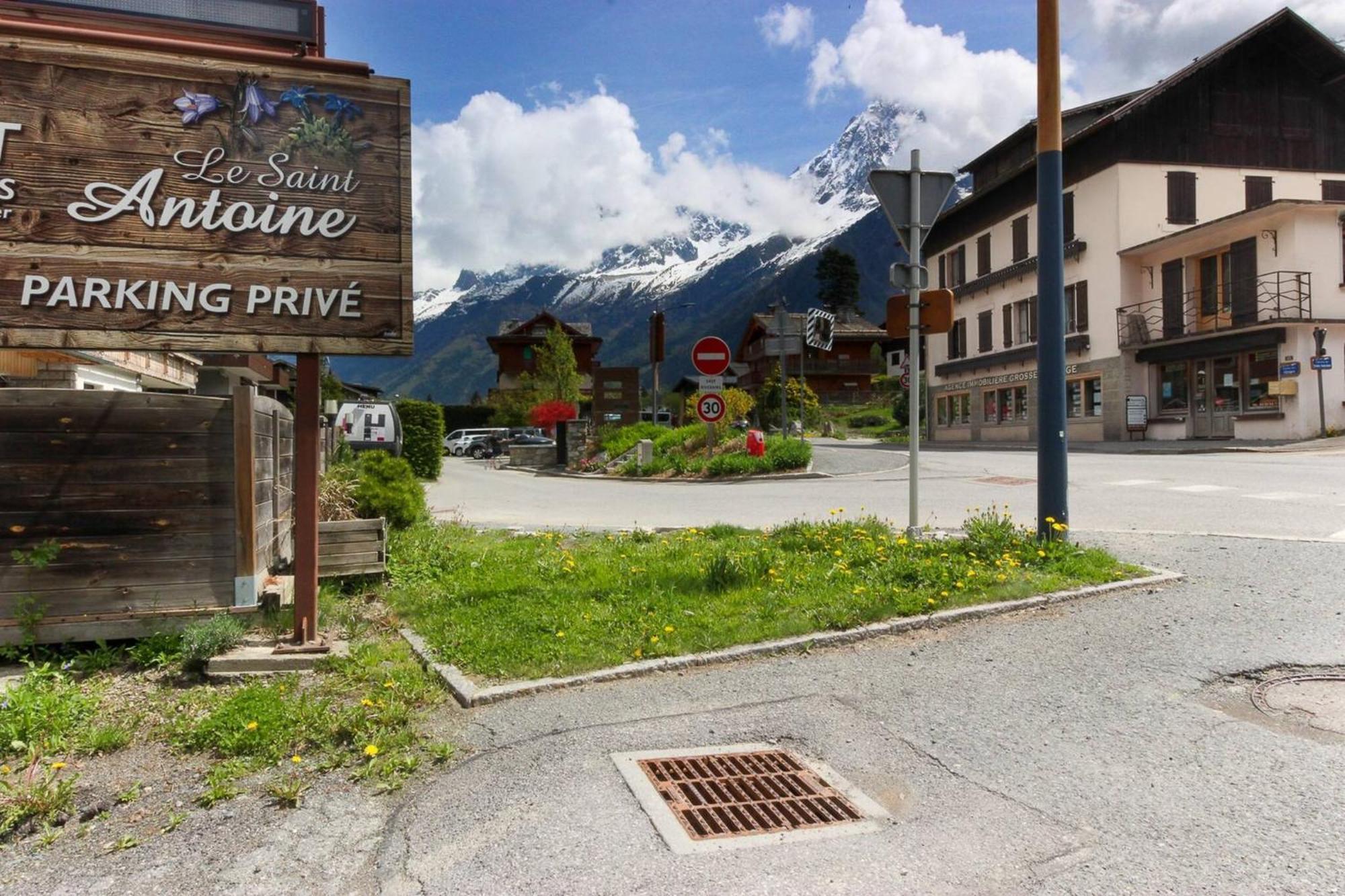 Les Dryades - Renove - Balcon Avec Vue Mt Blanc 莱苏什 外观 照片